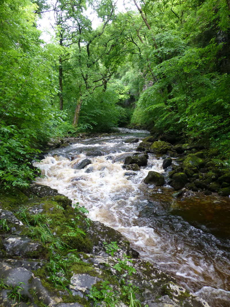 River Twiss